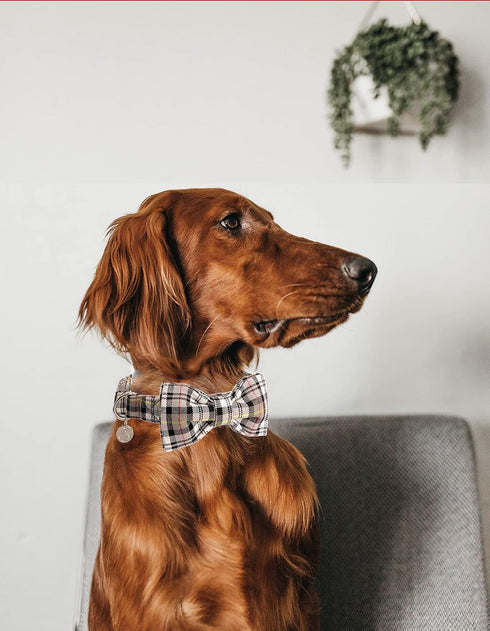 DOGWONG Soft &Comfy Bowtie Dog Collar,Detachable and Adjustable Bow Tie Collar,for Small Medium Large Pet...