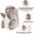 Dog Toys Plush Squirrel Dog Toy Stuffed Animals Chew Toy Soft Squeaky Dog Gift Toys for Small Medium Big Large Dogs Pet...