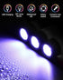 Mudder 12 Pieces Mini Keychain Light Bulk Pocket Tiny Flashlight Handheld Black Light led USB Rechargeable Waterproof Small Flashlights for Emerge...