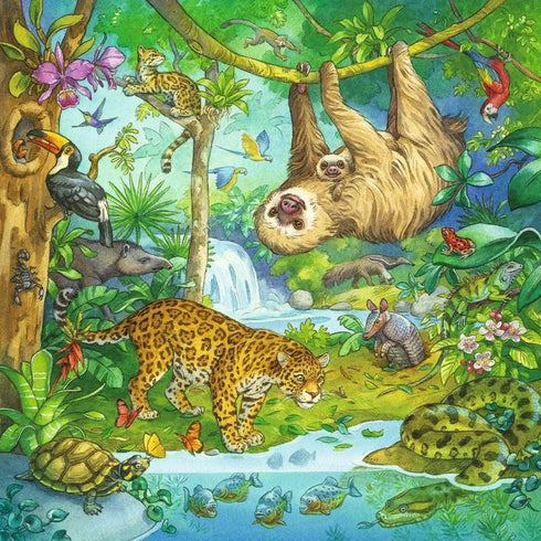 Ravensburger Jungle Fun 3 x 49 Piece Jigsaw Puzzle Set for Kids - 05180 - Every Piece is Unique, Pieces Fit Together Perfectly...