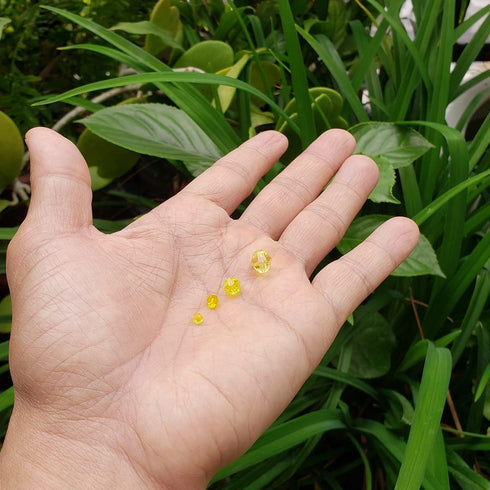 Yellow Bicone Glass Beads for Jewelry Making, Faceted Crytal Spacer Beads for Bracelet Necklace Earring (3mm 4mm 6mm 8mm Mixed Sizes, 1040pcs)...