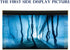 Fish Backgrounds Paper Double Sides 3D Stone & Trees Aquarium Background Picture 19" x 48" Fish Tank Background...