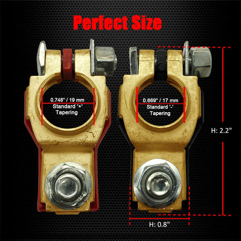 Ampper Battery Terminals Set W/ M8 Nut, Compatible for Nissan Altima Murano Pathfinder Maxima Quest Rogue Titan Versa etc, 243407F000 and 243407F0...