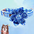 Elegant little tail Dog Collar with Flower - Blue Plaid Dog Collar Cute Flower Collar Adjustable Dog Collar for Large Dog...