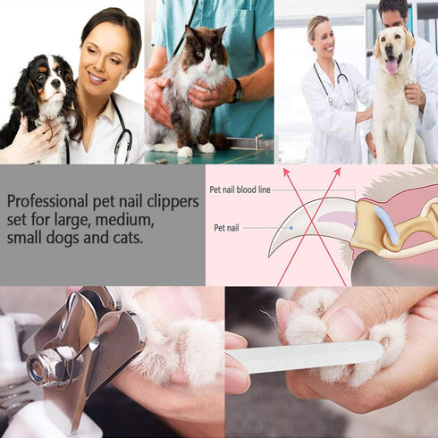 Pet Nail Clippers and Trimmers Set Safety Guard to Avoid Over Cutting Razor Sharp Blades Grooming Tool for All Small Large Dog Cat (Blue/Black)...