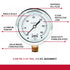 Winters 2-1/2" Dial Size, Liquid Filled Industrial Pressure Gauge, Brass Internals, 304 Stainless Steel Case, Single Scale 0-300 psi, 1.5% Acc, 1/...