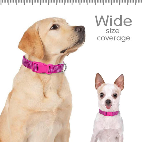 Didog Reflective Dog Collar with Buckle, Adjustable Soft Neoprene Padded Nylon Pet Collars for Small Medium Large Dogs, Hot Pink, M...