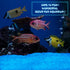 Glow in The Dark Gravel, Fluorescent Glow in The Dark Rocks Decorations Fish Tank Rocks Decorative Aquarium Gravel Stones for Garden Room Planter ...
