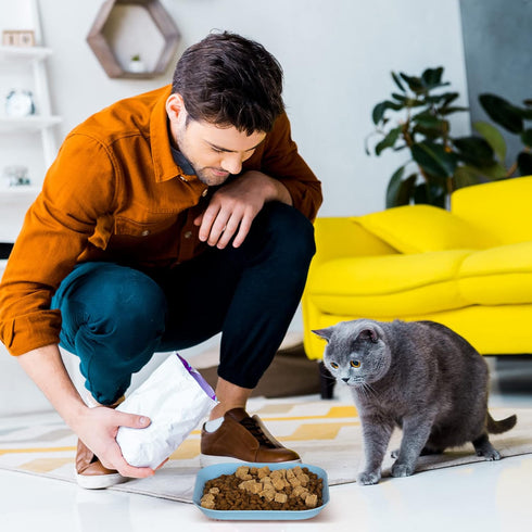 Whisker Fatigue Relief Cat Bowl, 6 Inch Shallow Cat Food Dish Cat Wet Feeding Bowls Wide and Small Pet Plate for Kittens and Short Legged Cat (4Pc...