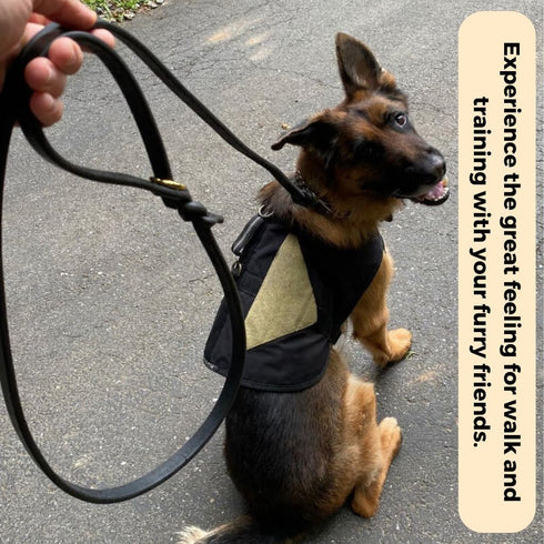 Leather Dog Leash, Strong Heavy Duty Genuine Leather Braided Dog Training Leash, Soft and Comfortable Leather Leash for Large Dogs, Medium Small D...