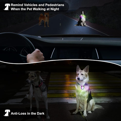 Dog Collar Light, 4 Modes Dog Lights for Night Walking, Rechargeable Dog Collar Lights for Nighttime Clip on, IP68 Waterproof Dog Light...