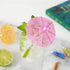 True Umbrella Appetizer Picks, Mini Umbrella Toothpicks, Drink Umbrellas for Mai Tais and Daiquiris, Multicolor, Wood, Set of 12...