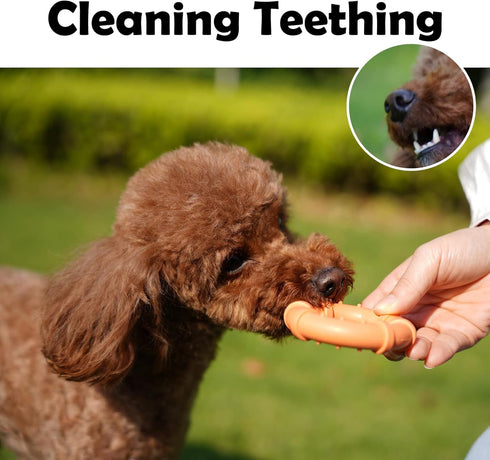 Dog chew Toys for Aggressive chewers Small Breed Non Toxic Silicone Long Lasting Dog Toys Ring Toy for Healthy Teeth (Green)...