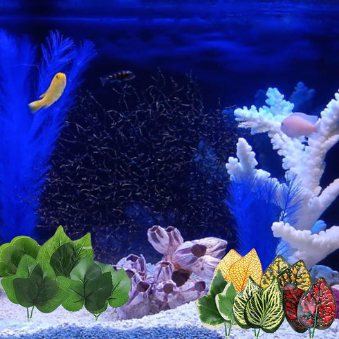 2PCS Fishtanks Decorations for Betta Resting Bed Leaf Hammock Spawning Pad for Bettas Simulation Habitats AquaticPlant Aquariums Decoration for Be...