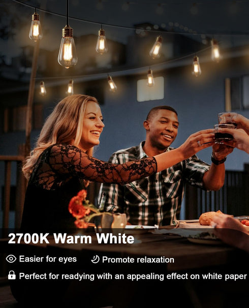 Energy-saving E26 LED Bulb 60 Watt Vintage LED Edison Bulbs Warm White 2700K High Brightness, ST58 Bathroom Light Bulbs with 90+ CRI Non Dimmable ...