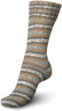 Regia 9801629 08078 Hand Knitting Yarn Wool, Iceland, 18 x 9 x 9 cm, Wool, eiszapfen, 16 x 9 x 9 cm...