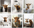 MINI ZOZI Cow Bathroom Decor 8x10 6PCS Canvas Pictures Wall Decor Funny Highland Cow Prints Art Rustic Farmhouse Modern Style Restroom Bath Painti...