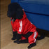 Cute Dog Hoodie Tracksuit Sweater Coat Jacket Winter Pajamas Clothes Clothing Jumpsuit 4-Legs Red for Cat Puppy Small Medium Big All Type Dogs (6X...