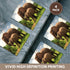 3dRose CST_44876_3 Mama N Baby Elephants in Wild Ceramic Tile Coasters, Set of 4...