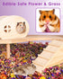 Bissap Natural Flower & Herb Hamster Bedding 300g/10.5oz, Small Animal Flower Habitat Decor for Syrian Dwarf Hamster Gerbil Chinchilla Mice Degu a...