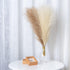CHUKCHI Faux Pampas Grass - 17.7" 6 Bunches (3 Beige and 3 Taupe Brown) Fluffy Artificial Dried Pampas Grass, Used for Flower Arrangements Home De...