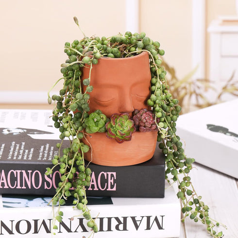 Terra Cotta Face Succulent Pots Planter Clay Pot Pretty Tribe Face Planter Holder Indoor Flower Pot Crafts Breathing Terracotta Pot DIY Decorative...