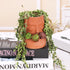 Terra Cotta Face Succulent Pots Planter Clay Pot Pretty Tribe Face Planter Holder Indoor Flower Pot Crafts Breathing Terracotta Pot DIY Decorative...