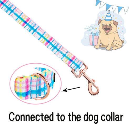 Unique style paws Durabel Dog Leash Matching Collar Blue Pink Grid Dog Rope Handle for Dogs and Cats-XS...