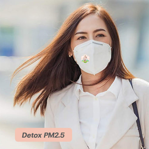 Onion Sticker Anti Pollution Formula, Plus Clove Oil, antioxidant to Detox PM 2.5, 6 satchet/Box , 100% Organic. Fast Action and 12 Hours Duration...