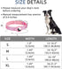 AirTag Dog Collar, Reflective Apple Air Tag Dog Collar, Padded Dog Collars with AirTag Holder Case, Adjustable Air Tag Pet Collar for Small Medium...