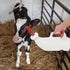 POPETPOP Calf Milk Feeder Bottle 1 Set Calves Nurser Bottles with Handle and Silicone Lamb Cow Nursing Feeding Bottle Farm Goats Milk Feeder Lives...