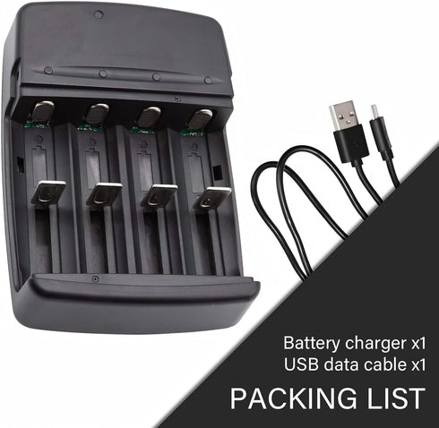 USB Universal Smart Battery Charger for 3.2V LiFePO4 Batteries...