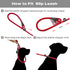TwoEar Dog Leash Dog Slip Rope Leash 1/2" x 6FT Dog Training Leash Heavy Duty Strong Slip Lead Highly Reflective Threads for Small Medium and Larg...