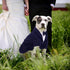 SAWMONG Dog Tuxedo,Formal PET Wedding Party Suit for Small Medium Dogs,Dog Prince Bow Tie Shirt,Cosplay Prince Costume Gentleman Apparel,Pet Costu...