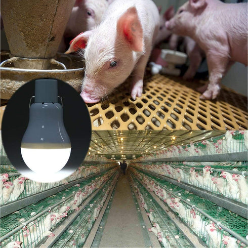 Solar Powered Lamp Portable Led Bulb Lights Solar Energy Panel Led Lighting for Camp Tent Night Fishing Emergency Lights Flash 350LM(Pack of 2)...