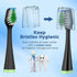 Replacement Toothbrush Heads for Waterpik Complete Care 5.0/9.0 (CC-01/WP-862), with Covers, 4 Count, Black...