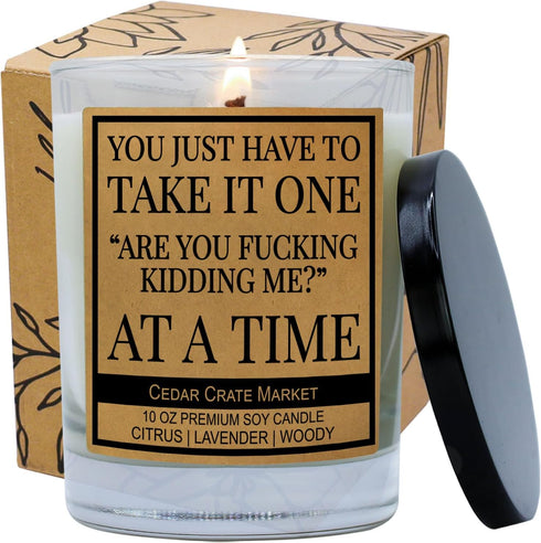 You Just Have to Take It, Funny Candles Gift for Women Friends Mom, BFF, Girlfriend, Boyfriend, Inappropriate Candles with Funny Sayings, Lavender...
