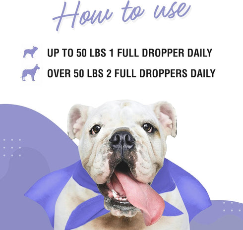 Premium DMG for Dogs – DMG Liquid to Support Immune Health, Skin, Stamina, Muscles, Stress & Performance - Dimethylglycine (DMG) for All Ages, Siz...