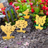 40 Pcs Sticky Trap with Uniqe Design for Fly, Gnat, Mosquito, Fruit Fly and Bug. Good for Indoor/Outdoor/Kitchen/Protect The Plants. Super Sticky,...