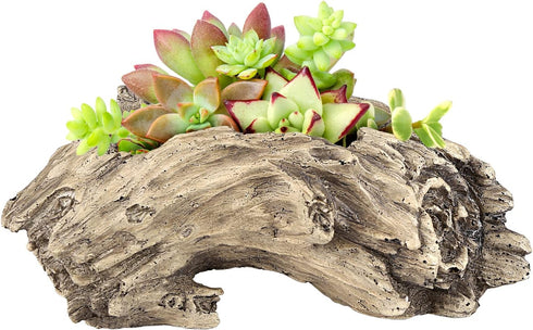 Succulent Planters Driftwood Planter Succulent Pots Small Plant Flower Cactus Pots Tree Stumb Wood Planter with Drainage Hole...