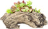 Succulent Planters Driftwood Planter Succulent Pots Small Plant Flower Cactus Pots Tree Stumb Wood Planter with Drainage Hole...