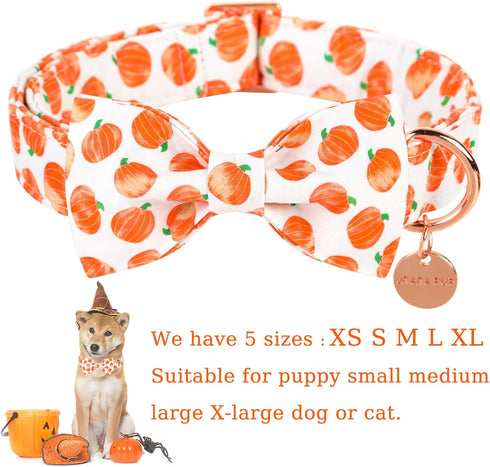 Halloween Dog Collar with Bow Tie, Pumpkin Cotton Bowtie Collar for Puppy Girl Boy Dog or Cat, Fall Dog Collar Bowtie with Metal Buckle, Adorable ...