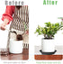 Plastic Plant Saucer 5.8" (4.5" at Base), 6 Pack Singe Size, Thick 6 8 10 12 inch Plant Water Catcher Tray for Indoors Potted Plant Drainage Drip ...