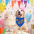 Birthday Boy Dog Bandana, Printed Dog Bandana Pet Scarf Dog Birthday Party Supplies for Dogs Pet Accessories for Dog Lovers Reveal Ideas...