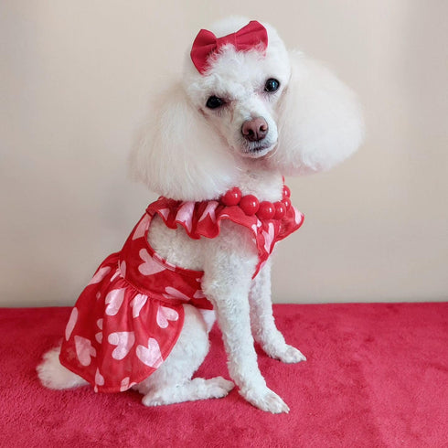 Fitwarm Valentines Day Sweet Heart Dog Dress, Dog Holiday Outfit, Dog Clothes for Small Dogs Girl, Pet Cat Apparel, Red, Pink, Small...