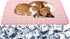 Pet Cooling Mat for Dog Cat Washable Cooling Pad, Reusable Ice Silk Dog Self Cooling Mat, Pet Sleeping Pad Blanket for Pet Beds Kennels Couches So...