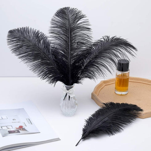 12pcs Natural Black Ostrich Feathers 12-14inch (30-35cm) for Wedding Party Centerpieces?Flower Arrangement and Home Decoration....