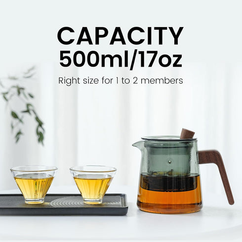 Glass Teapot with Removable Glass Infuser, Teapot Kettle for Blooming and Loose Leaf, Borosilicate Glass Tea Maker 17oz/500ml...