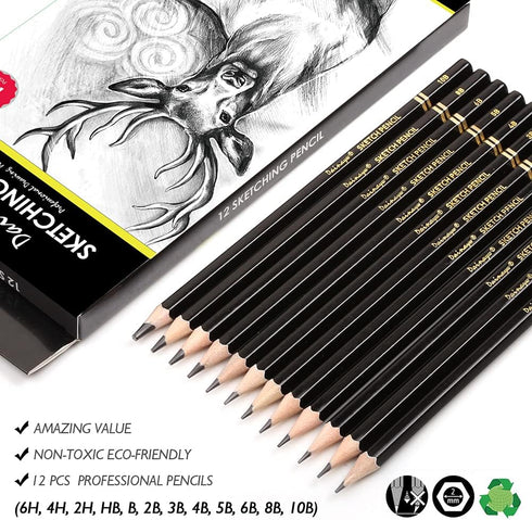 dainayw Professional Drawing Sketching Pencil Set, 12 Pieces Art Pencils 10B, 8B, 6B, 5B, 4B, 3B, 2B, B, HB, 2H, 4H, 6H Graphite Shading Pencils f...
