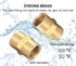 Brass Coupling 1/4" NPT Female x 1/4" NPT Female Hex Head Pipe Fitting (Pack of 2) - Compressor connector 1/4 Inch fnpt to 1/4 Inch fnpt, Air Hose...